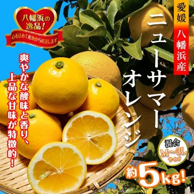 2026年4月発送開始　さわやかな香りと上品な甘さ!「ニューサマーオレンジ」約5キロ【D39-83】【配送不可地域：離島】【1649781】