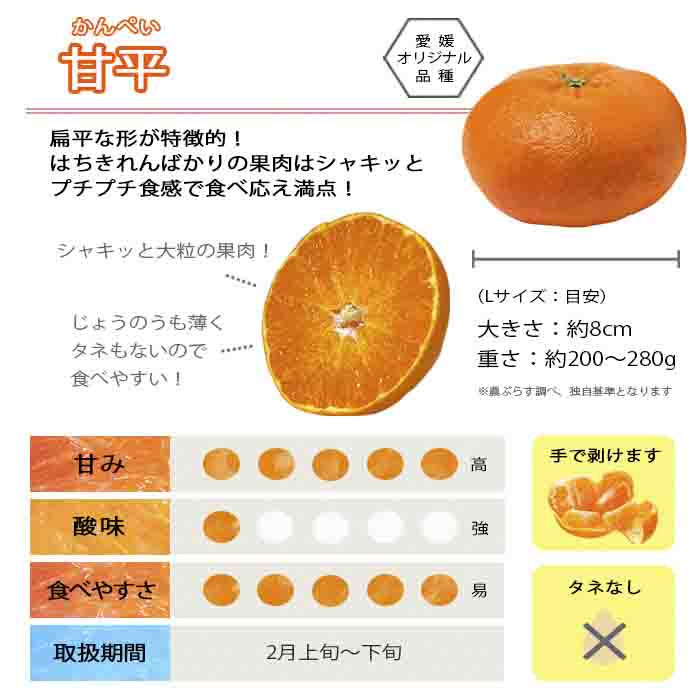 【先行受付】愛媛の“三大高級柑橘”の一つ!「甘平(かんぺい)」約3.5kg入【訳あり】【C28-23】【配送不可地域：離島】【1046128】 YWTN016