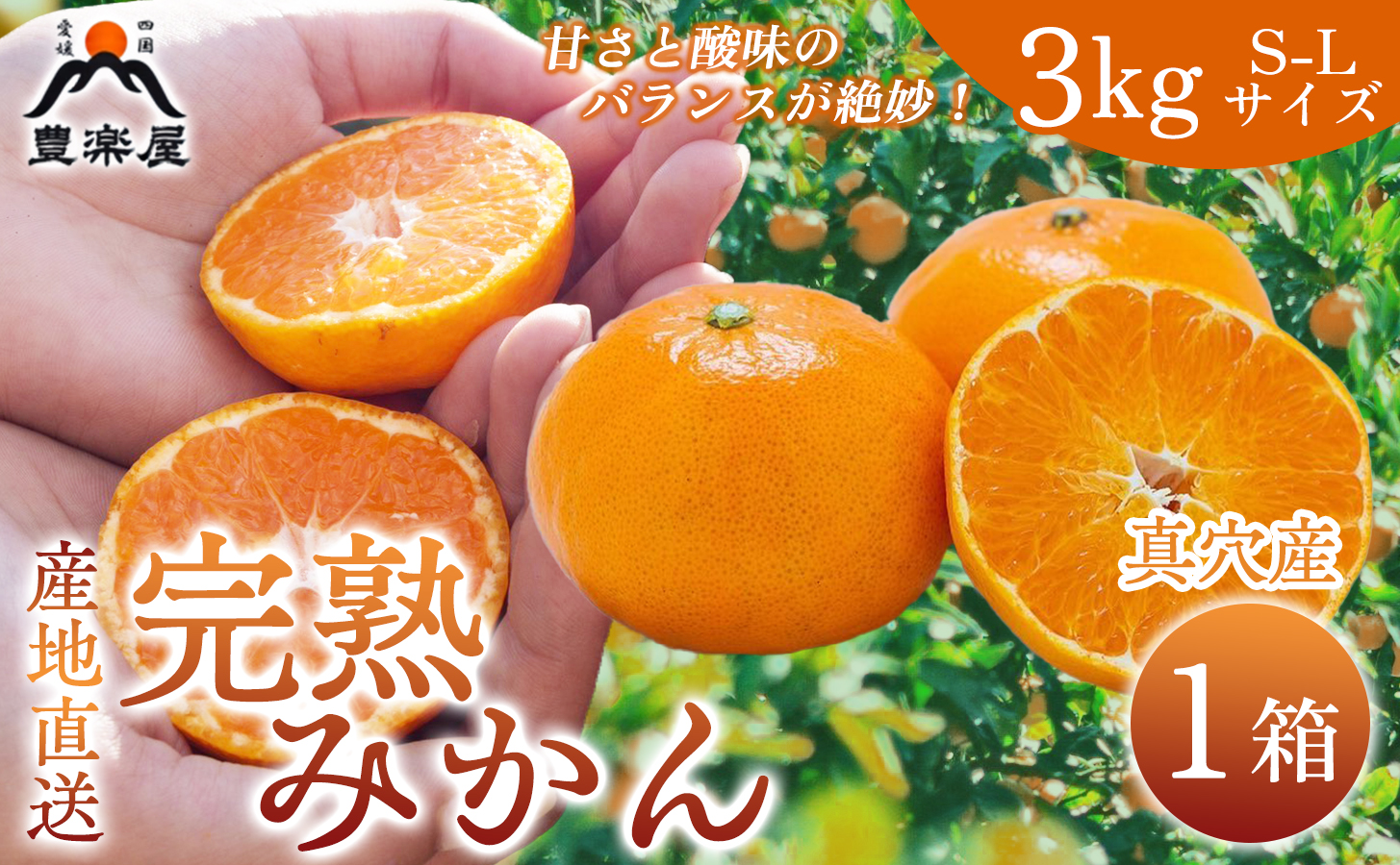 【先行受付】【農家直送でお届け！】果汁たっぷり真穴産みかん 3kg(S~Lサイズ)【D98-17】【1711297】 YWTBU017
