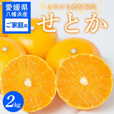 【ご家庭用】せとか 2kg 愛媛八幡浜産【C25-306】【1712538】