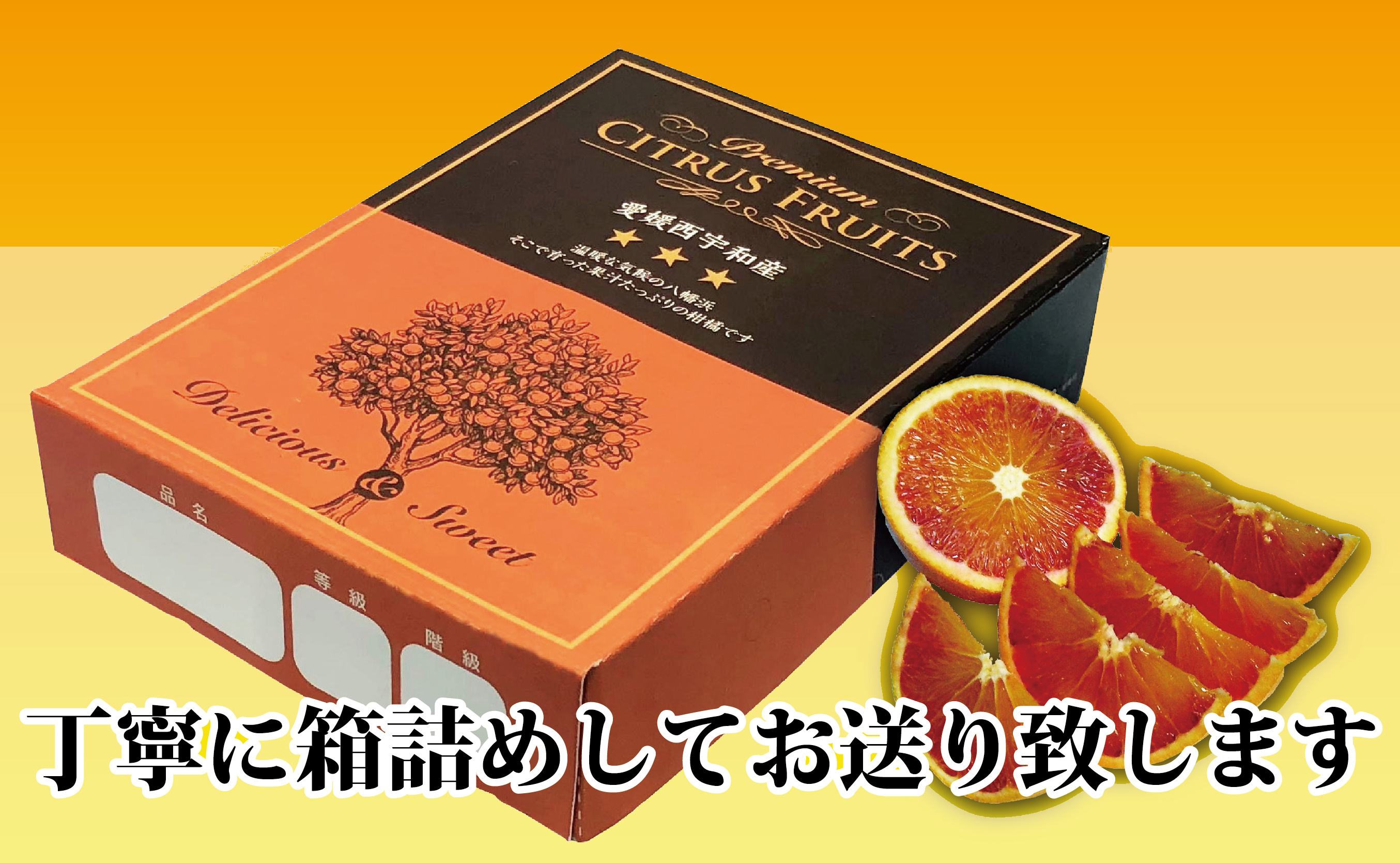 【先行受付】アントシアニン含有!「ブラッドオレンジ」約3キロ 【C39-9】【配送不可地域：離島】【1280627】 YWTF003