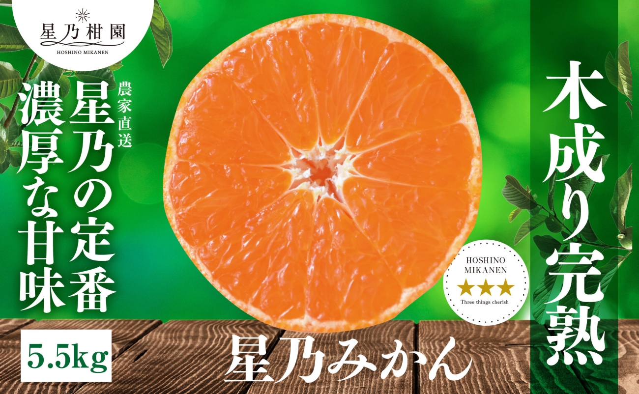 【先行受付】【三つ星ブランド】星乃みかん(5.5kg)【C45-99】【1652556】 YWTAZ061