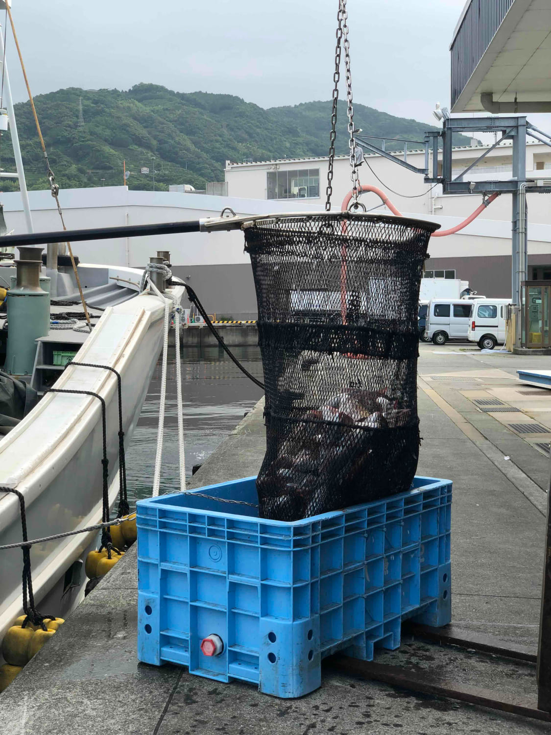竹中水産の一押し「お手軽鮮魚2」2キロ前後【D22-236】【配送不可地域：離島・北海道・沖縄県】【1073397】 YWTM054