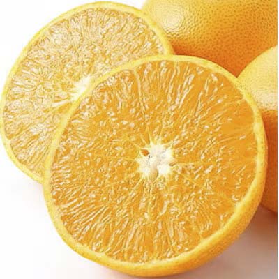 ãå
è¡åä»ãæåªã®é«çŽææ©ã®ä»£åè©!ãããšããçŽ3.5kgå
¥ãD28-18ããé
éäžå¯å°åïŒé¢å³¶ãã1046129ã YWTN011