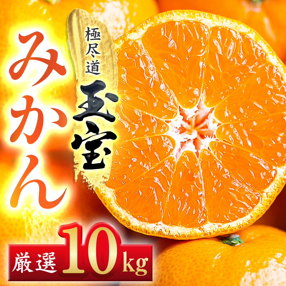 【愛媛名産】玉宝みかん 10kg【G64-27】【1510741】 YWTY016