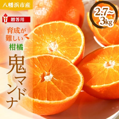 柑橘の鬼たちがつくる八幡浜産・鬼マドンナ(2.7kg〜3.0kg)[贈答用]【E56-16】【配送不可地域：離島】【1250206】