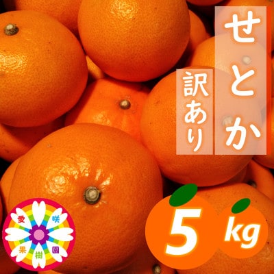 愛咲果樹園「せとか」訳あり約5kg【C71-38】【1718253】
