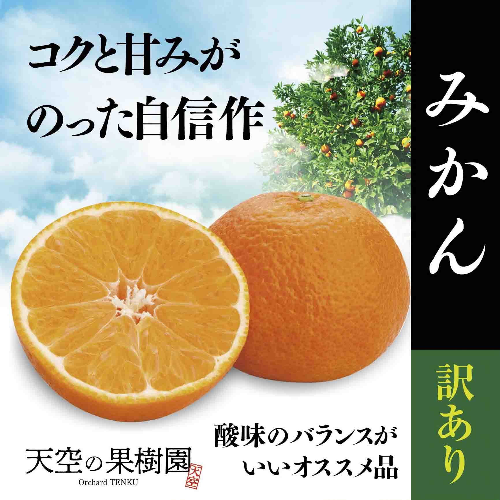 【先行受付】天空の果樹園から届く そらみかん (5kg)【訳あり】【A95-4】【1668469】 YWTAQ004
