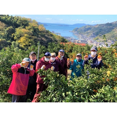 浜っ子『しあわせものがたり』みかんゼリー【みかんのジャグチ】編〜　160g×6袋【D30-5】【1521025】