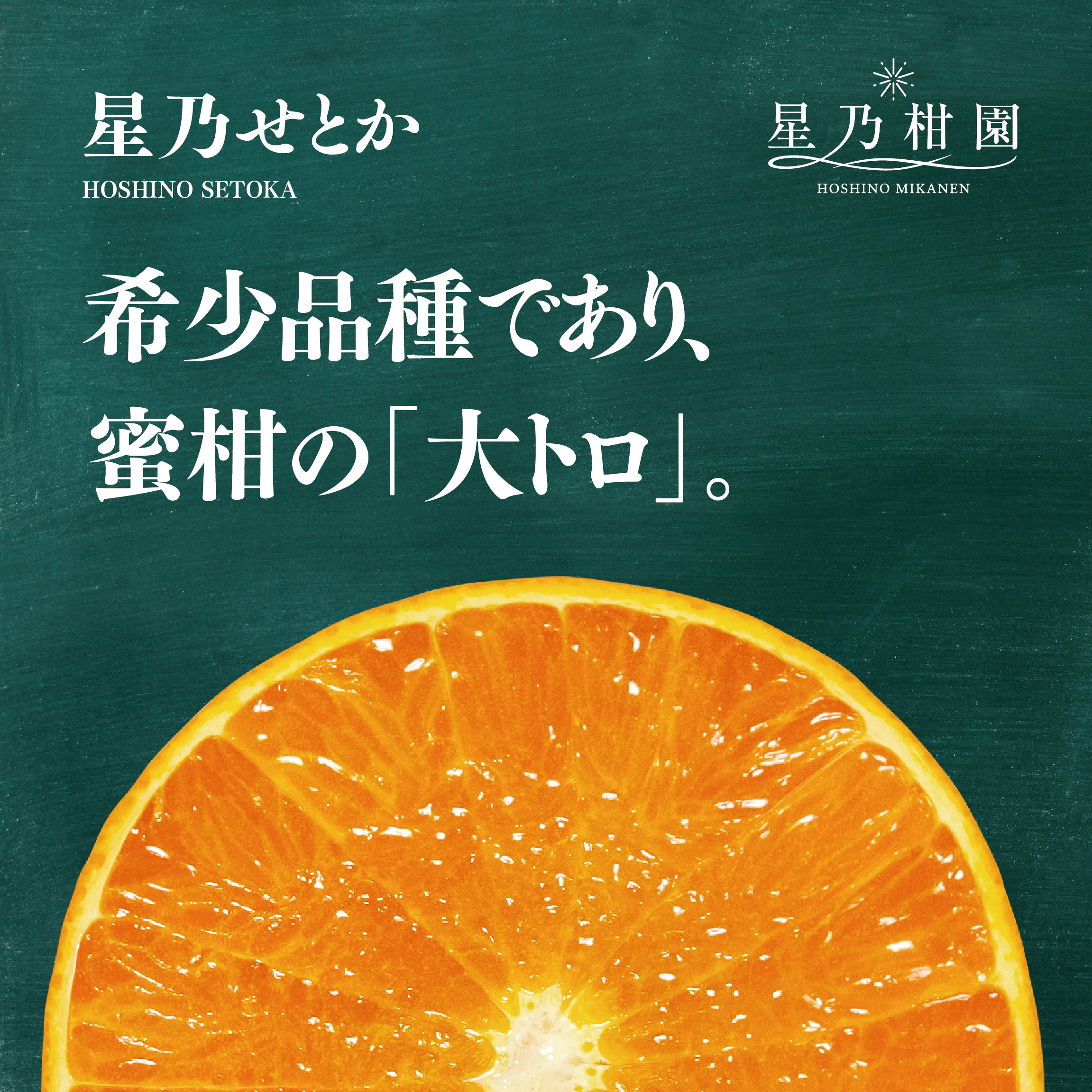 【先行受付】【訳あり】星乃せとか 柑橘の大トロ(5kg)【C45-97】【1650682】 YWTAZ059