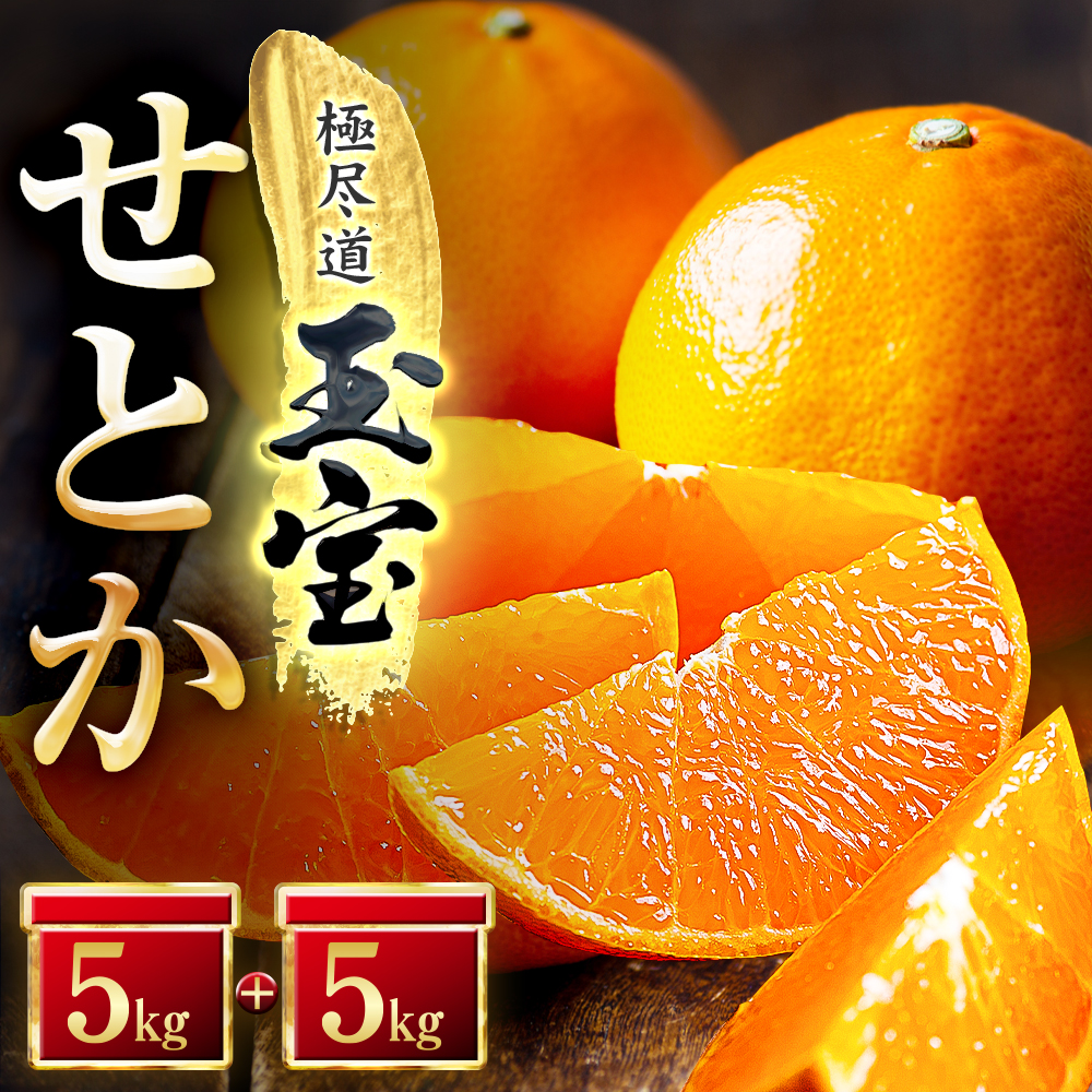 【先行受付】「玉宝ブランド」【せとか】10kg【H64-48】【1511361】 YWTY037