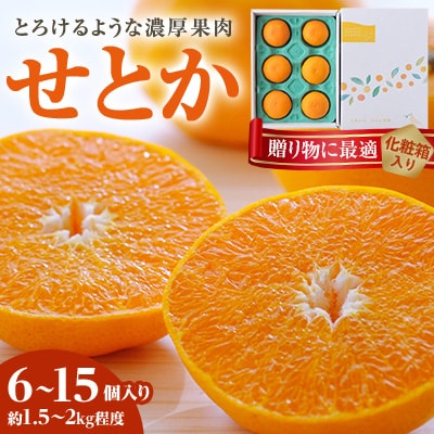 【2026年2月以降発送】とろける濃厚柑橘 せとか ギフトボックス入り【E25-98】【1360096】