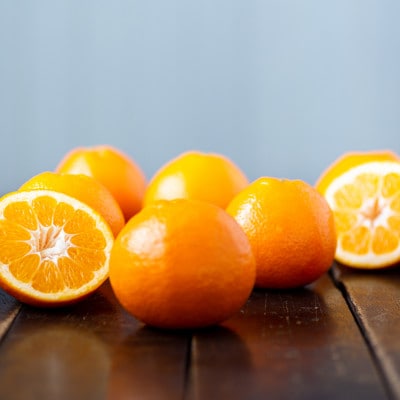 縲先帛ェ帛錐逕」縲醍脂螳昜シ贋コ域汨縲10kg縲色64-60縲代1510839縲