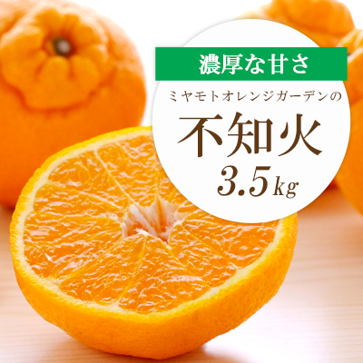 【先行受付】デコポンと同品種 濃厚柑橘 不知火(しらぬい)3.5kg【D25-127】【1044412】 YWTAP070