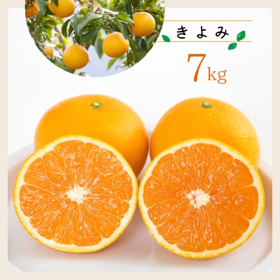 コウ果樹園の「きよみ」大ボリューム7kg【C33-19】【1064379】