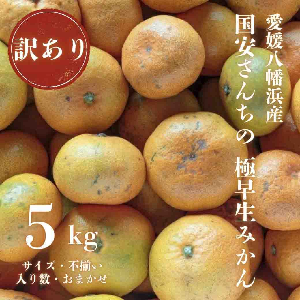 【創業85年 親子4代 愛媛みかん 一筋】愛媛八幡浜産 訳あり 極早生みかん 5kg【C20-46】【1594915】 YWTI041