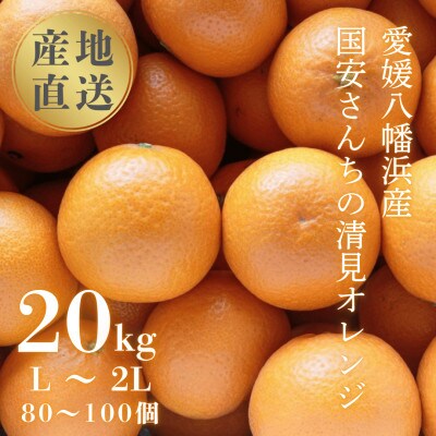 【まるで食べるジュース!越冬完熟品】愛媛産 清見オレンジ 20kg【H20-94】【1625385】