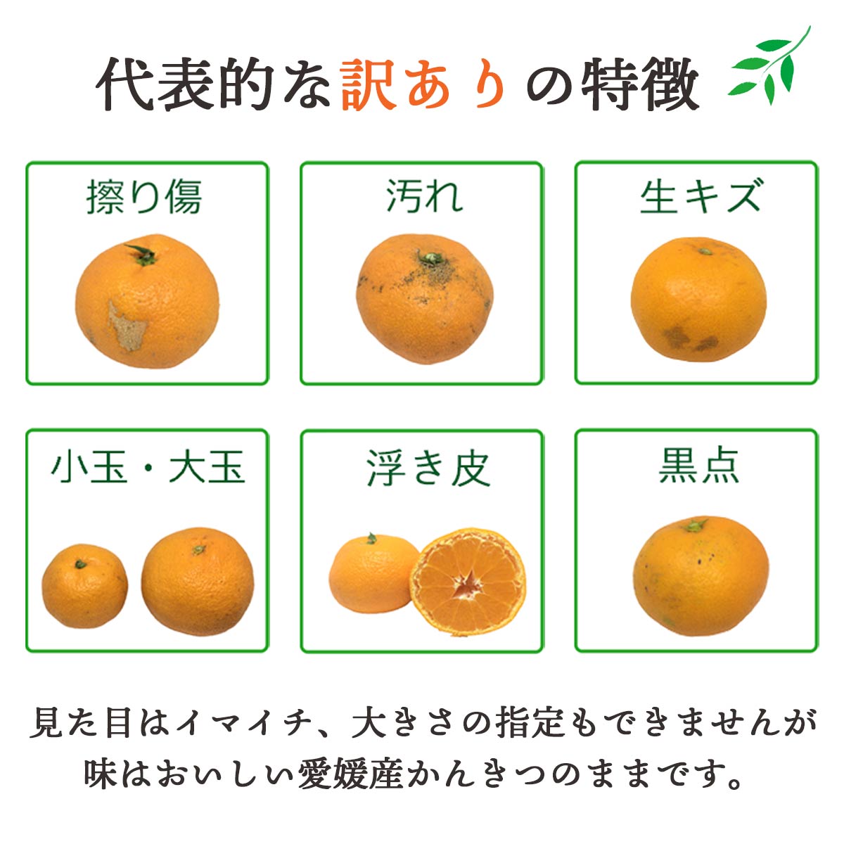 西宇和地区八幡浜市産 愛媛みかん10kg【訳あり】【D25-177】【1606099】 YWTAP118