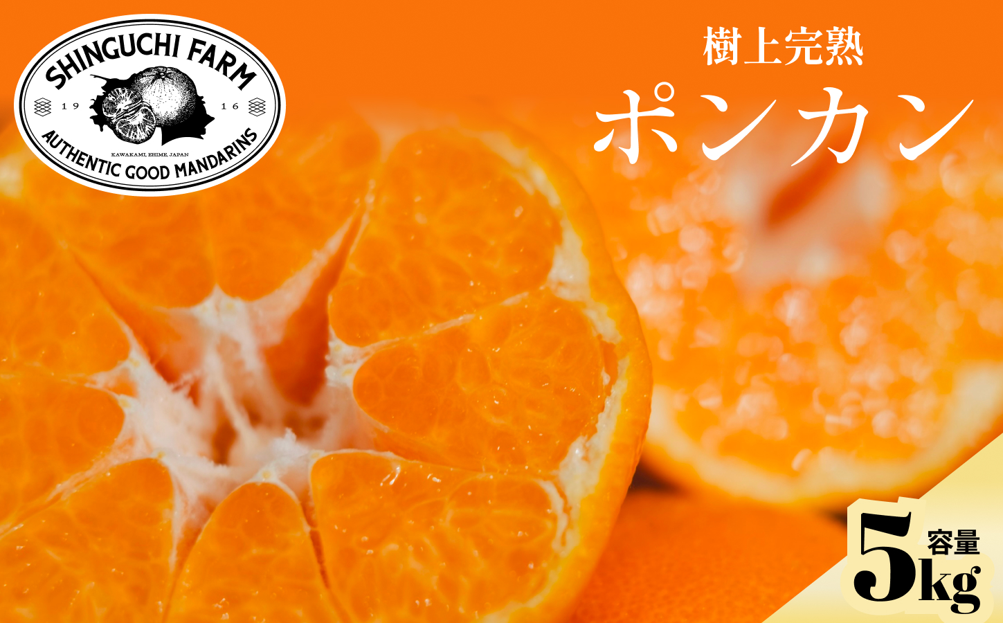 【先行受付】【産地直送】五代目が厳選したポンカン 5kg 愛媛県産【D70-24】【1470666】 YWTK024