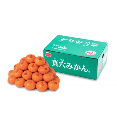 真穴みかん【Mサイズ】 約3kg【D43-10】【1654524】