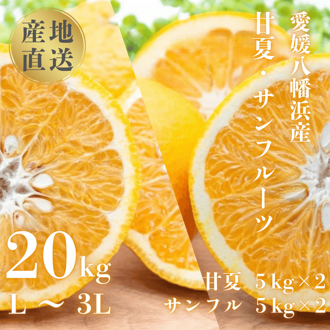 甘夏&サンフルーツ20kg (各10kg)【H20-84】【1625127】 YWTI079