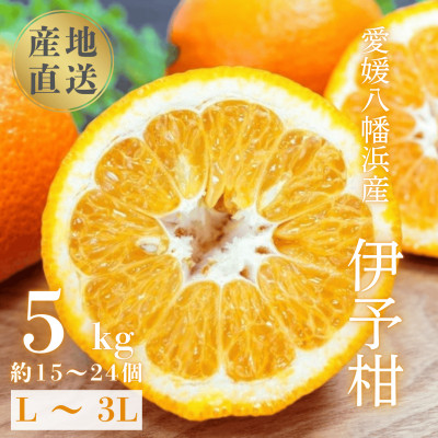 【爽やか香りと柔らかジューシーな果肉】愛媛八幡浜産 宮内伊予柑 5kg【C20-55】【1595885】