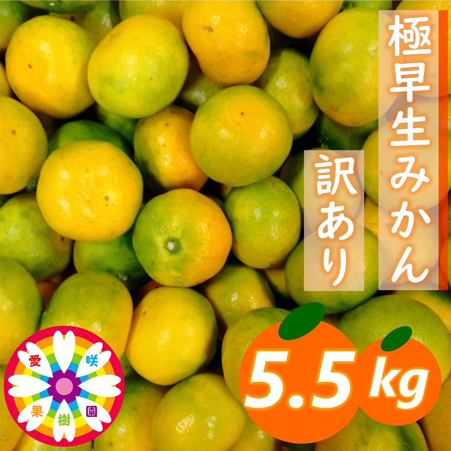 【先行受付】「 極早生 みかん 」訳あり約5.5kg《 愛咲果樹園 》【A71-24】【1616825】 YWTS020