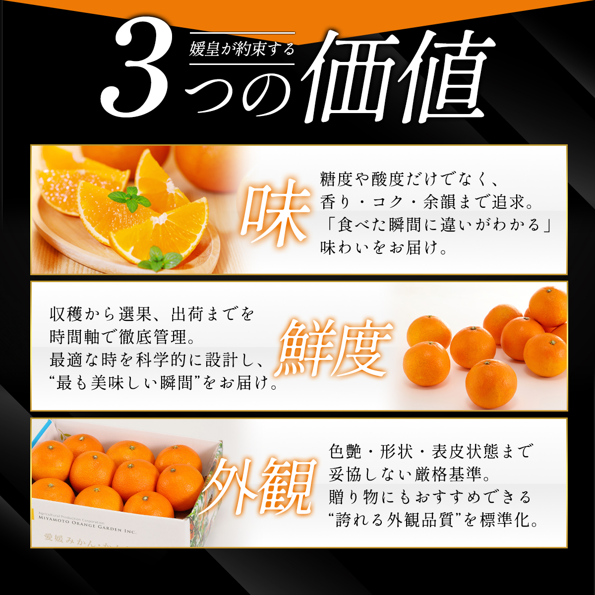 【先行受付】 最高級みかん 媛皇 せとか 3kg 愛媛県 八幡浜市 西宇和地区 柑橘の女王【D25-308】【1713683】 YWTAP249