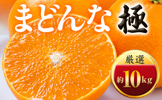 「夕やけブランド」ぷるぷる食感【まどんな】10kg　※紅まどんな と同品種　【H49-40】【1508955】