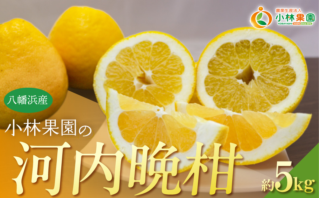 【先行受付】小林果園の河内晩柑(約5kg)【C24-26】 YWTAD019