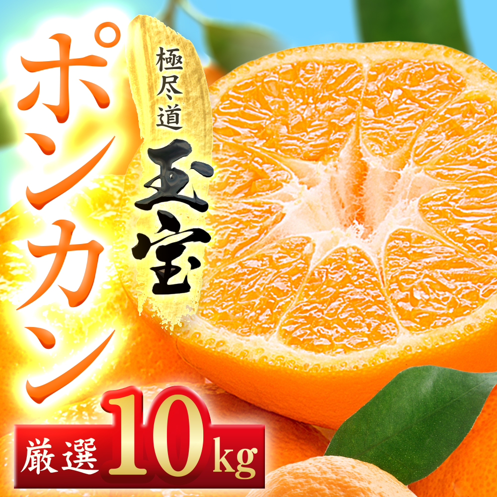 【愛媛名産】玉宝ポンカン　10kg【F64-66】【1621808】 YWTY055