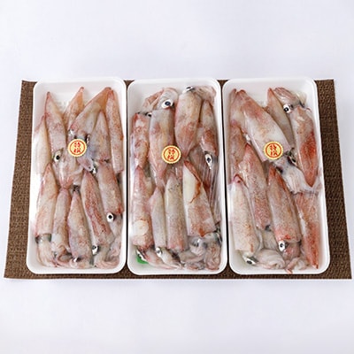 ç«¹äžæ°Žç£ã®ãã©ã¹ã«ã¡(çœã€ã«ã®å°å°ãµã€ãº)1.5kgãC22-271ããé
éäžå¯å°åïŒé¢å³¶ãã1115289ã