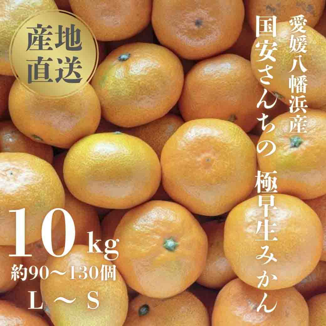 【創業85年 親子4代 愛媛みかん 一筋】愛媛八幡浜産 極早生みかん 10kg【F20-44】【1594909】 YWTI039
