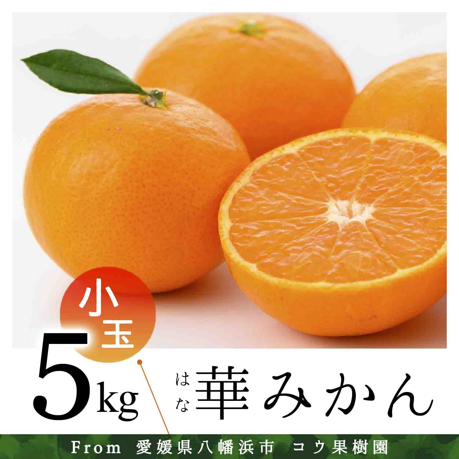 コウ果樹園の華みかん小玉5kg【C33-37】【1491968】 YWTG019