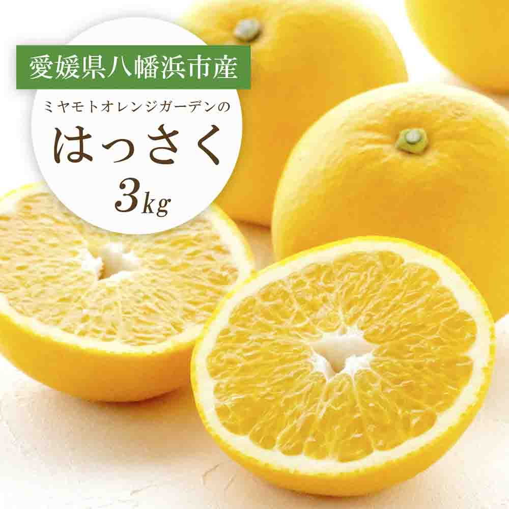 【2026年2月以降発送】ぷりぷり!酸味さわやか 八朔(はっさく)3kg【C25-187】【1609975】 YWTAP128