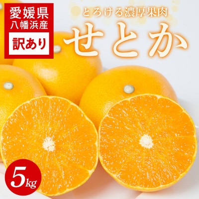 【訳あり】とろける濃厚柑橘 せとか5kg 愛媛県八幡浜産【C25-336】【1715050】