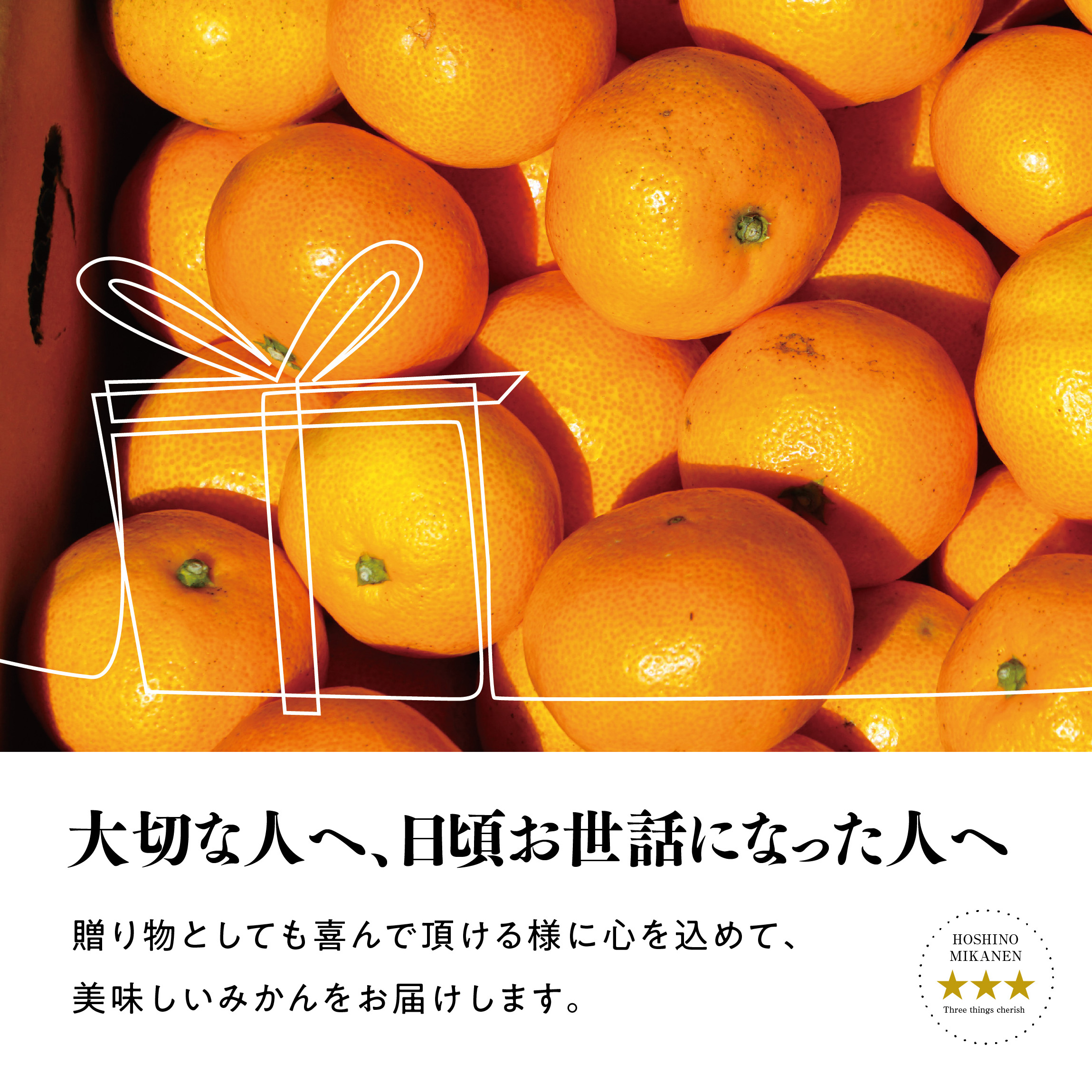 【三つ星ブランド】星乃みかん(3kg)【A45-96】【1625777】 YWTAZ058