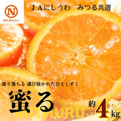 JAにしうわの季節の柑橘(みつる共選「蜜る」約4kg)【D08-48】【1443355】