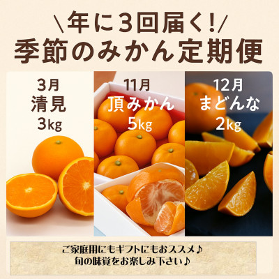 【発送月固定定期便】美味しいみかん柑橘のある暮らし【みかん・まどんな・きよみ】【G31-42】全3回【4058603】