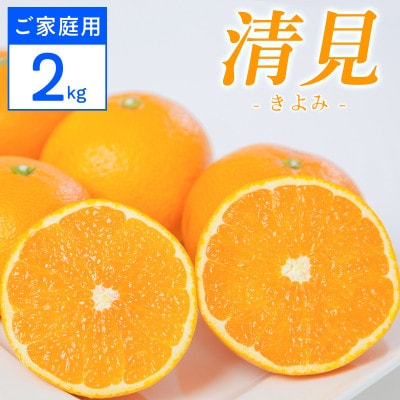 【ご家庭用】清見 2kg 愛媛県 八幡浜市 西宇和地区 柔らかい果肉【C25-377】【配送不可地域：離島】【1716878】