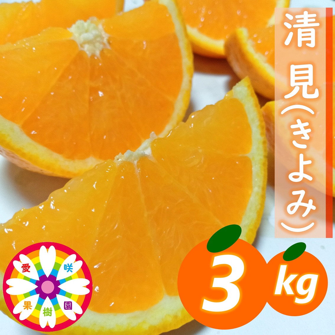 【先行受付】愛咲果樹園「清見」約3kg【71-58】YWTS060