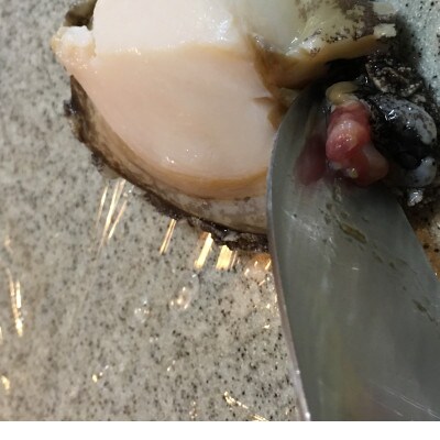 【3ヵ月毎定期便】八幡浜発竹中水産の大アワビ900g以上(2〜5個)【H22-289】全2回【配送不可地域：離島・北海道・沖縄県】【4076813】