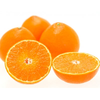 å®¶åºçšãæåªæè©Š48å·(çŽ
ããªã³ã»ã¹ãšååçš®)ãE56-60ããé
éäžå¯å°åïŒé¢å³¶ãã1591766ã