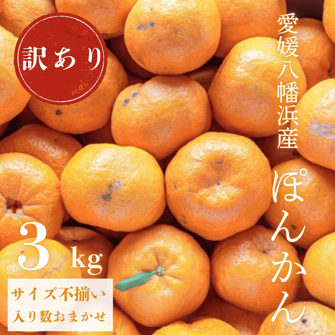 【南国を感じさせる独特の香り】訳あり 愛媛ポンカン 3kg【C20-91】【1625439】 YWTI086