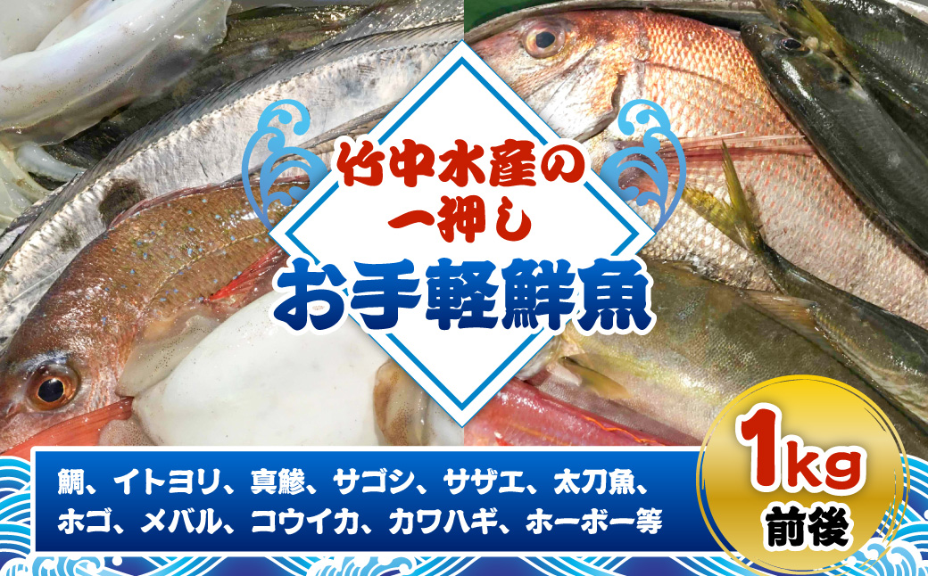 竹中水産の一押し「お手軽鮮魚」1キロ前後【C22-235】【配送不可地域：離島・北海道・沖縄県】【1073396】 YWTM053