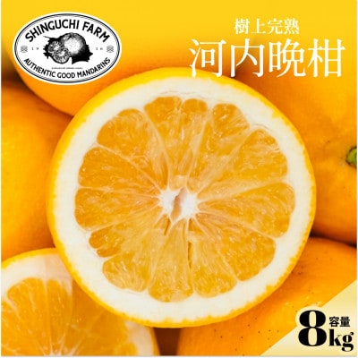 【太陽の恵みをギュッと凝縮】河内晩柑 8kg 愛媛県産【F70-17】【1470707】