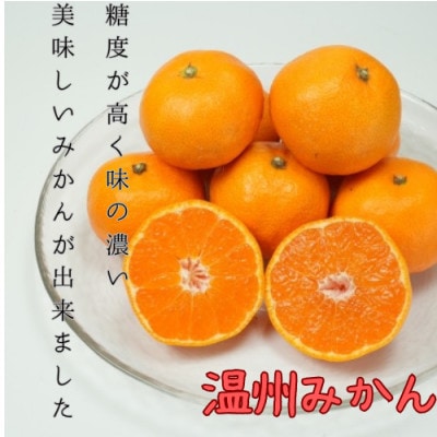 愛媛県八幡浜産 極甘みかん小玉　5kg【D96-5】【1670780】