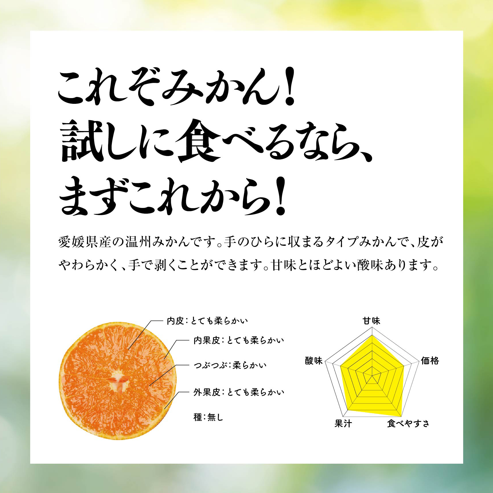 【先行受付】【天空の果樹園】そらみかん (5kg)【D95-2】【1339405】 YWTAQ002