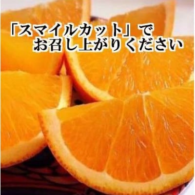2025年11月より発送開始　ぷるぷる食感!!「まどんな」約2キロ【訳あり・家庭用】【C39-58】【配送不可地域：離島】【1512437】