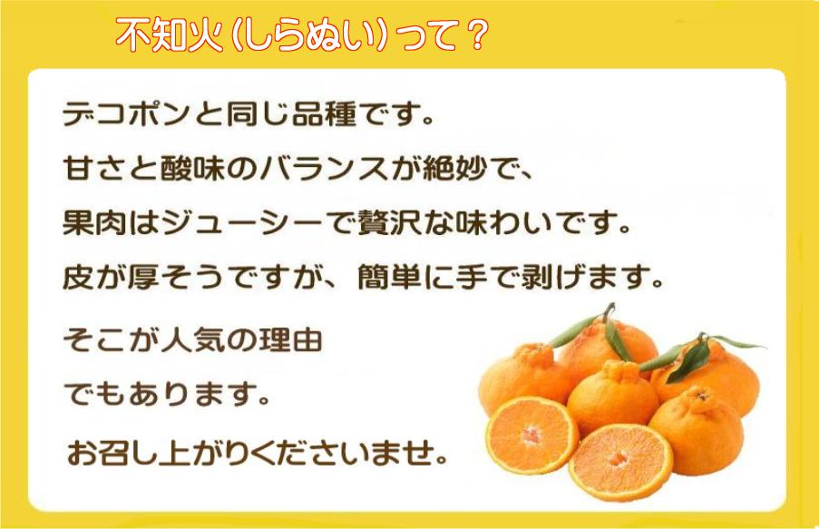 【先行受付】甘さと酸味の絶妙なバランス!はじける果肉「不知火」約3キロ【C39-74】【配送不可地域：離島】【1620480】 YWTF049